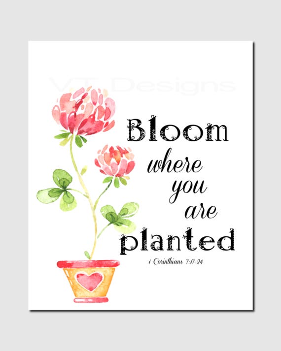 Bloom where you are planted Corinthians 7 1724 Bible