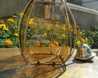 Luster