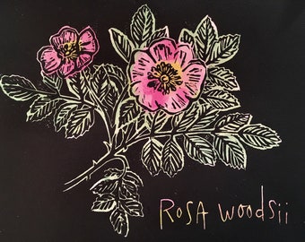 Rosa Woodsii. Hand Pressed Linoleum Print by Jenn Rawling