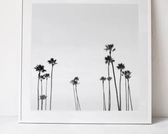 Palm Trees Wall Art Print, Black and White Print, Palm Trees Photography Print, Palm Tree Print, Square Print Instant Download PRINTABLE Art