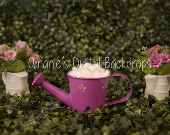 Pink Watering Can Newborn Digital Backdrop