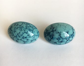 Vintage Robin's Egg Acrylic Earrings