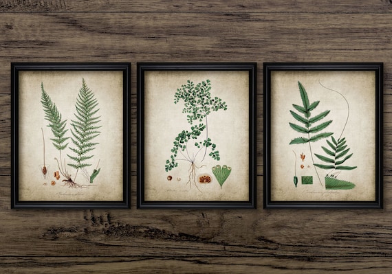 Green Plant Print Set of 3