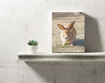 8x10 Stand-Up canvas