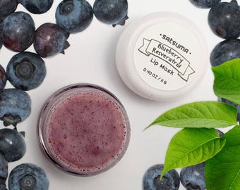 Blueberry Resveratrol Lip Mask (.40 oz Jar) - Blueberry Fruit, Resveratrol, Grapeseed Oil, No Artificial Ingredients - Anti Aging Lip Repair