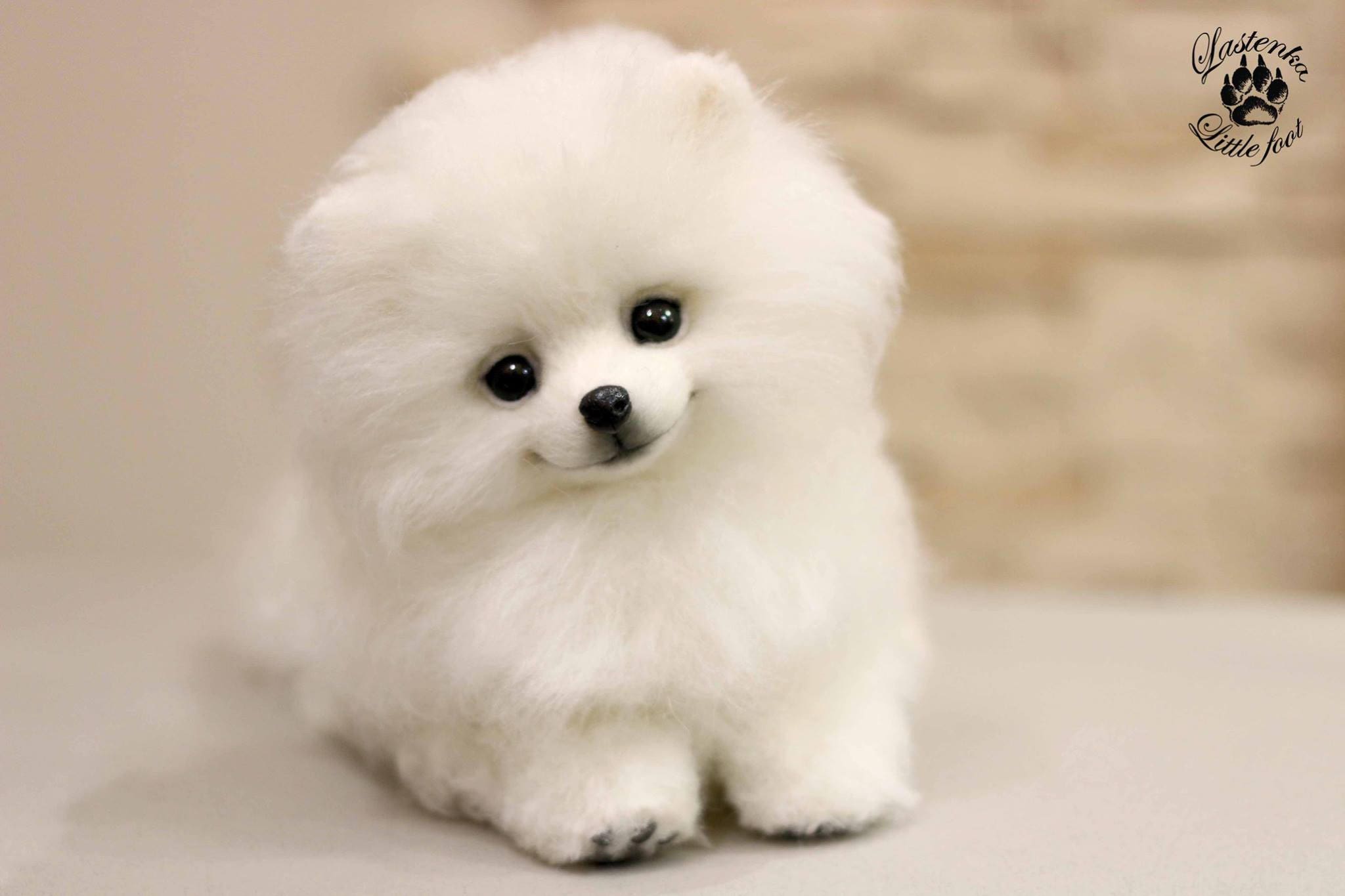 white pomeranian stuffed animal