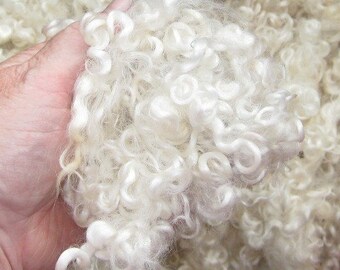 Lamb's locks,Teeswater, 2 Ounces Natural White