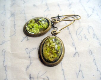Green Dry Flower Oval Earrings, Green Jewelry, Antique Brass Jewelry, Resin Oval Dangle Earring, Dried Flower Earring, DLAbeaddesign