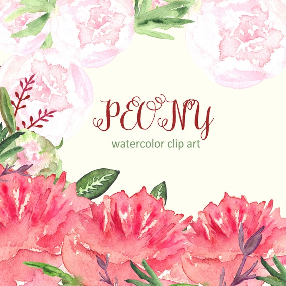Peony Watercolor flower clipart Digital clipart hand drawn.
