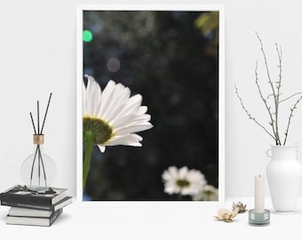 Daisy Photography Print, Wall Art, Color Print, Printable Art, Instant Digital Download Print