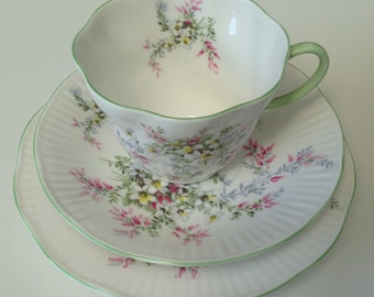 Queen's Rosina China Teacup, Saucer and Plate