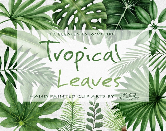 Watercolor Tropical Leaves Clipart Palm Leaf Greenery Clip Art
