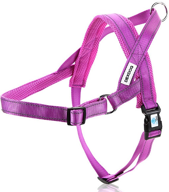 Purple XLarge Dog Harness Girl Pretty Designer Big Dog
