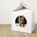 Cats box-house