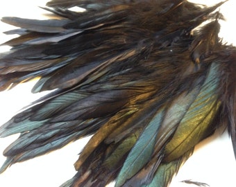 Real feather Rooster feathers Black 10 piece