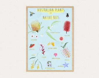 Australian Plants for Native Bees, A3 & A4, Poster, Australian, Native, Bees, Ecology, Conservation, Gardening