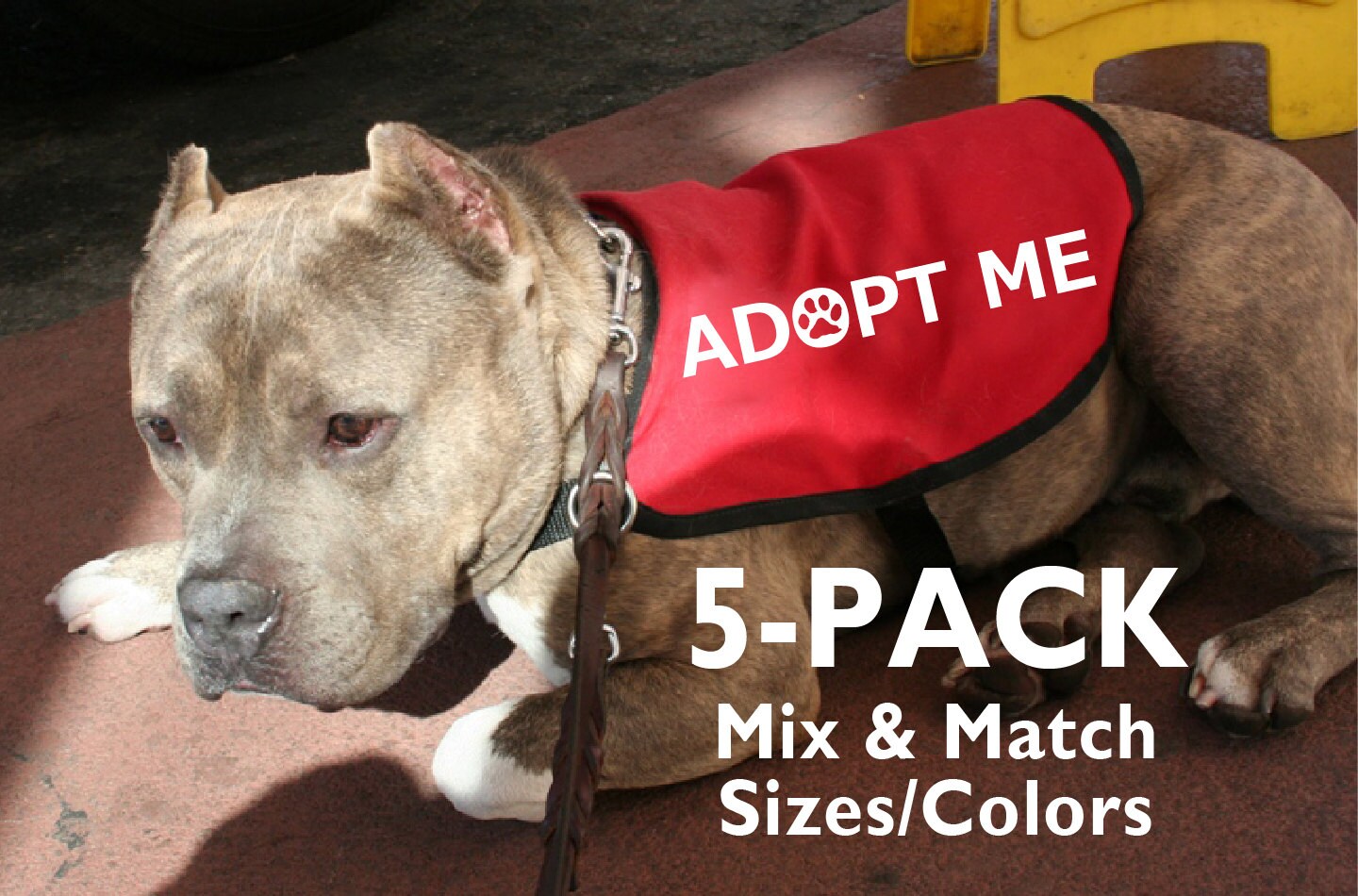 5-Pack Adopt Me Dog Jackets Vests Mix & Match