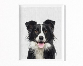 Border collie prints | Etsy