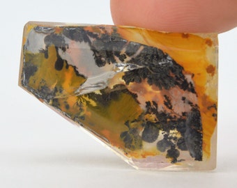 Fantastic Faceted Quartz With Dendrites