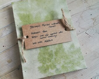 Myrrhis odorata (an ecoprinted notebook)