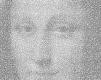 Photo Maze - Custom Design - Use your photo to create a MAZE!