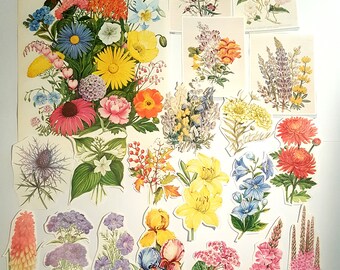 20 Piece Vintage Colourful Flower Pack for Scrapbooking, Collage, Decoupage, Junk Journalling Assorted Colours