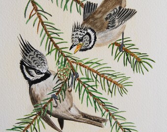 aquarelle originale,mésange huppée, animaux, naturaliste, art - oiseaux-bird-tit-art animalier