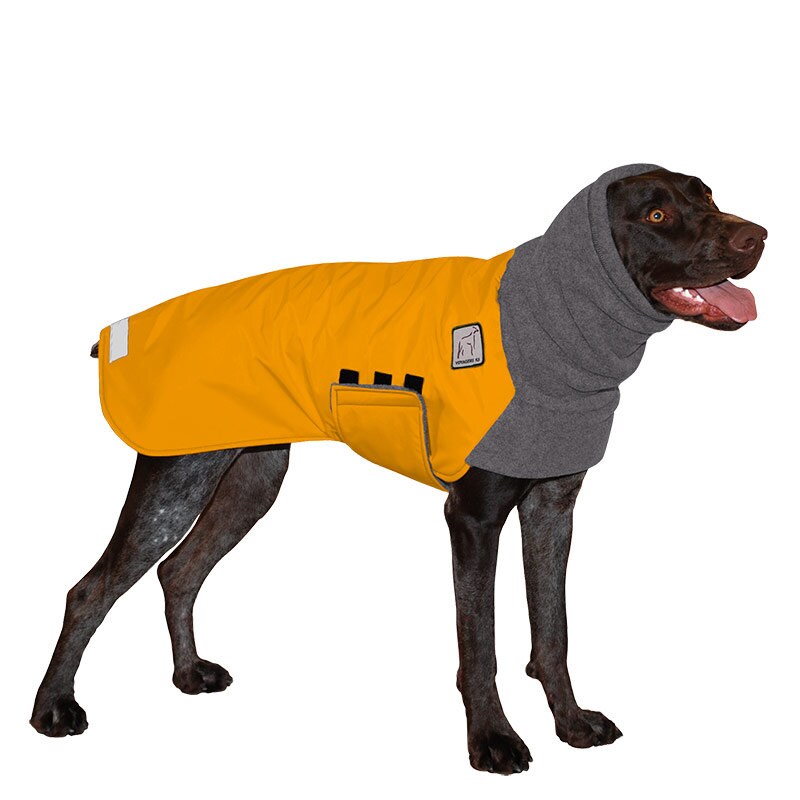 55 Best Dog Coat Style Ideas Images On Coats For Dogs 1