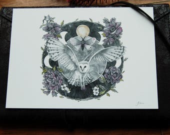 Night Magic Illustration~Giclee Print