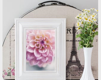 pink flower photograph, pink dahlia, dahlia print, pink decor, nursery wall art, nature photograph, floral print, cottage chic decor