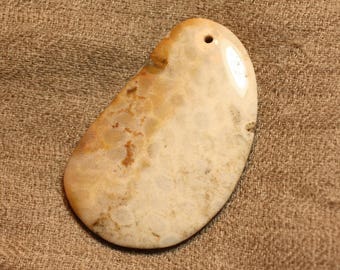 No. 5 4558550006240 55mm fossil coral gemstone pendant