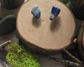 Lapis Lazuli Drop Earrings