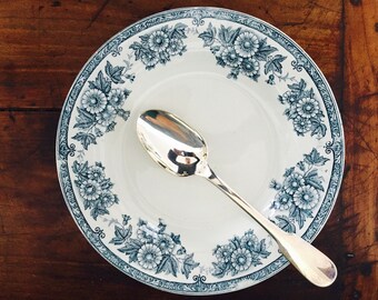 Set of two-Antiques french vintage ironstone transferware deep plates- TERRE DE FER- Rim soup bowl -