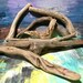 Curved Driftwood Pieces Large Beach Find Wood Round Driftwood Bulk Real Driftwood Decorative Driftwood Wood Supplies Driftwood Supply Wood