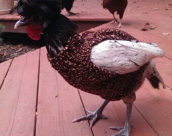 Knit Chicken sweater, chicken sweater, knit, hens, hen sweater, sweaters, pets, brown