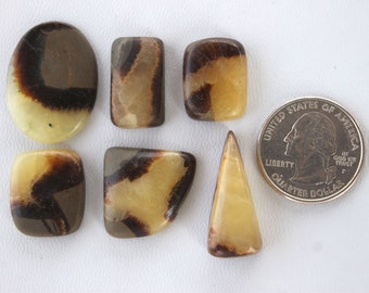 114.9 CTS 06 Pcs Yellow Septarian Gemstone, Yellow Septarian, Septarian Designer losse Cabochon for Wirewrapping Jewelry Making Stone