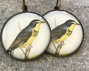 Vintage Fauna, Earrings, Vintage, Fauna, Flora and Fauna, Victorian, Antique Style, Vintage Style, Victorian Fauna, Jewelry, Eclectic, Gift