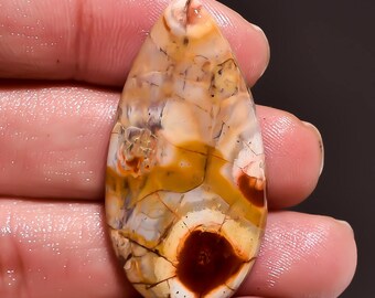 Birds Eye Jasper Gemstone