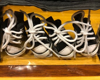 Converse shoes for dogs