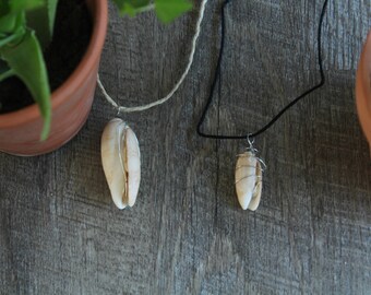 Nautilus Shell Necklace
