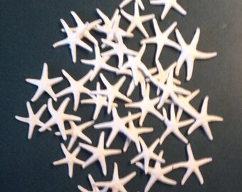 mini white Starfish Tiny Small Painted finger 20 pcs 1/2 to 1 1/4" inch White Painted Florida Bay Finger Starfish Beach Decor,Craft,Wedding