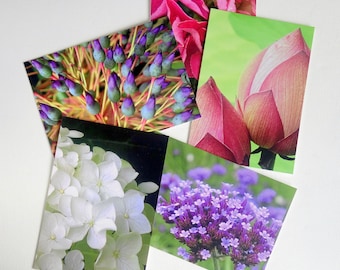 Art photography 5 postcard set. Flowers/nature. Pink, purple, green, floral. Frameable, affordable photograph prints