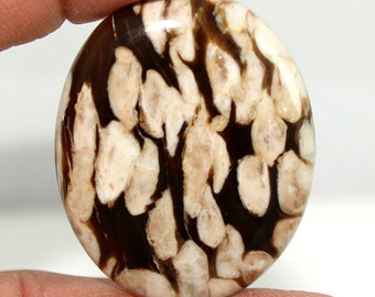 54.95Cts 100% Natural Excellent Peanut Wood Oval Shape Gemstone Cabochon 39X31X5MM