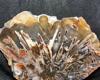 Turkısh stick and tube and agate slice Unpolished
