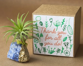 Thank You For All You Do, Blue Sodalite Thank You Gift, Crystal Air Plant Terrarium, Coworker Gift, Employee Appreciation Gift, Teacher Gift