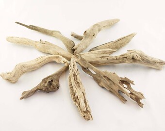 Driftwood - 15 Small Driftwood Pieces