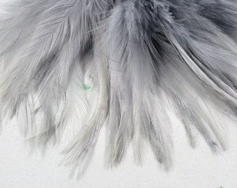 Feathers Premium Strung Saddle Blue Dun Gray PSD-13 6 inches