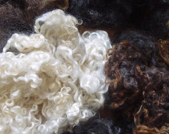 Washed Fleece, Sampler Grab Bag, Wool, 2 ounces, Undyed, Natural, Fiber, Spin, Felt