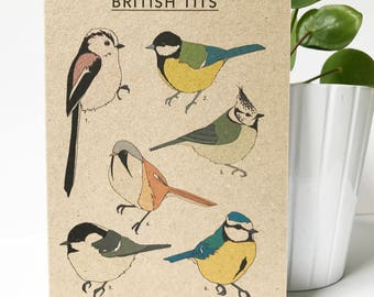 British Tits card - illustrated bird card - card for birdwatcher - nature card - eco friendly / recycled / kraft