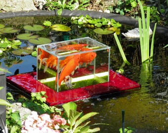 Flying-Aquarium-Linear 1200 rot Fish Observatory observation floating tank pond KOI Goldfish over water surface
